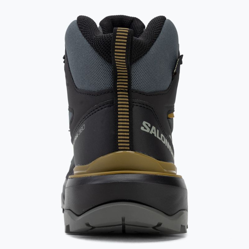 Men's trekking boots Salomon X Ultra 360 MID GTX urban chic/black 6