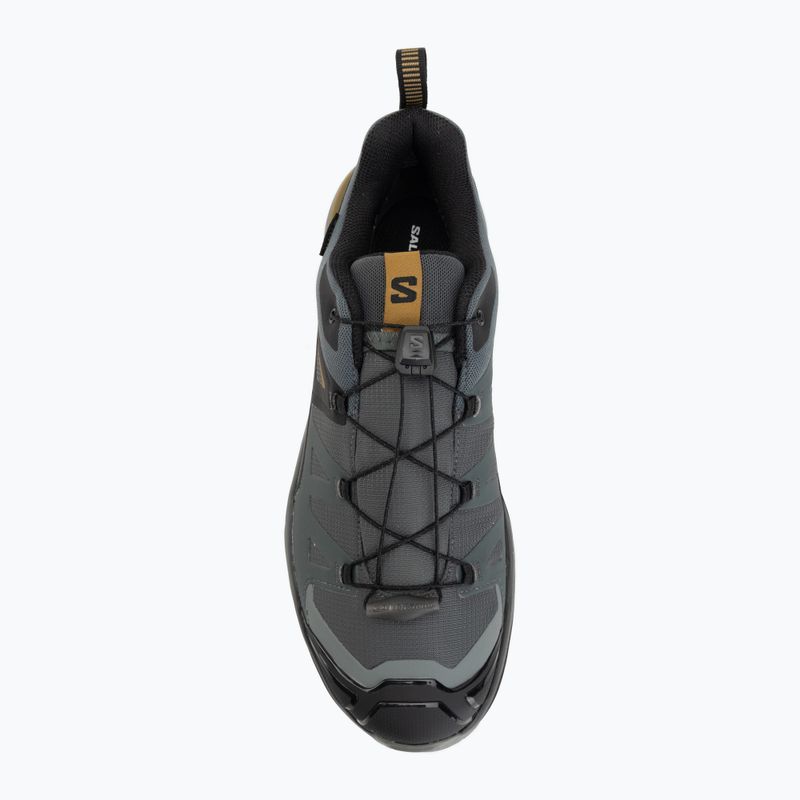 Men's trekking boots Salomon X Ultra 360 GTX urban chic/black 5