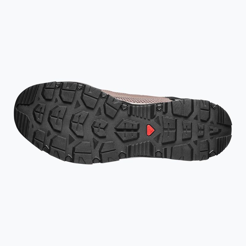 Men's hiking boots Salomon Techamphibian 5 walnut/wrought iron/black 5