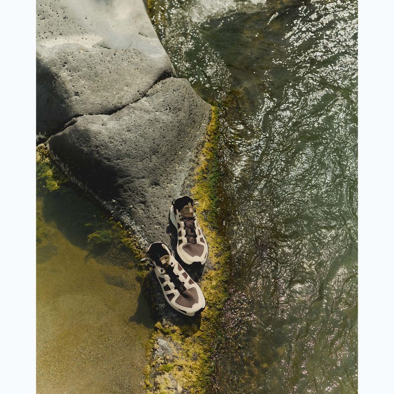 Women's hiking boots Salomon Techamphibian 5 walnut/tapioca/clearly aqua 8