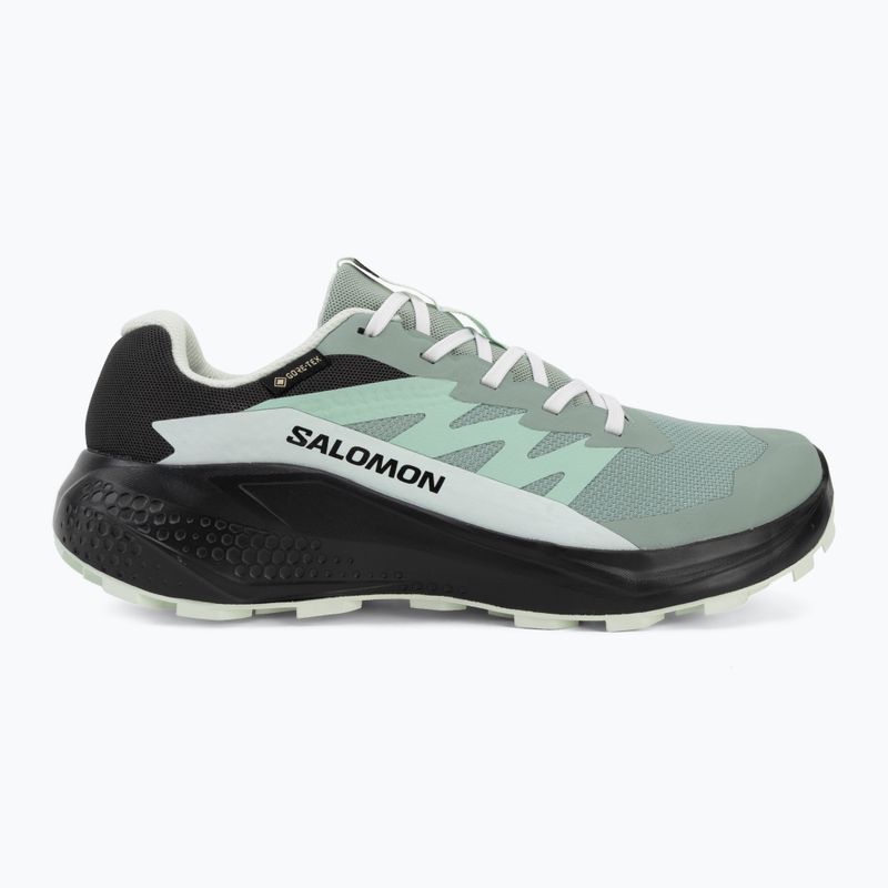 Women's running shoes Salomon Alphaglide GTX green milieu/asphalt 2