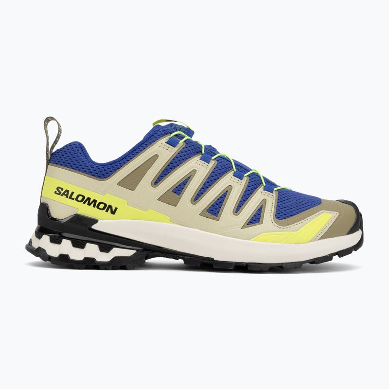 Men's running shoes Salomon XA Pro 3D V9 bluing/bog/acid lime 2