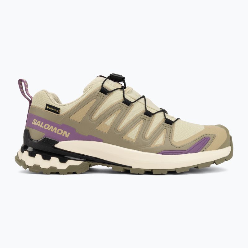 Women's running shoes Salomon XA Pro 3D V9 GTX bog/aloe 2
