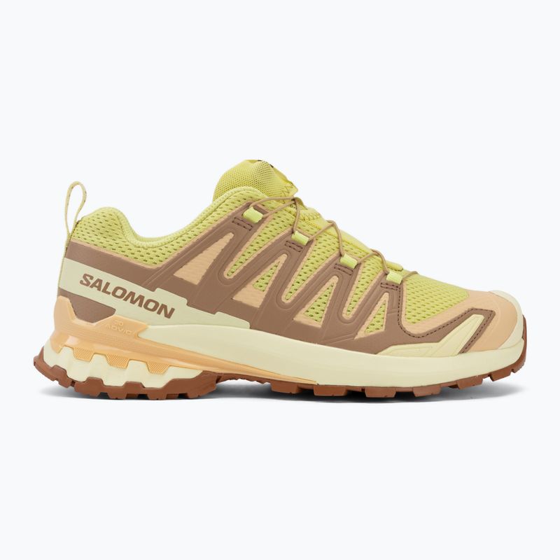 Women's running shoes Salomon XA Pro 3D V9 endive/burro/almond cream 2