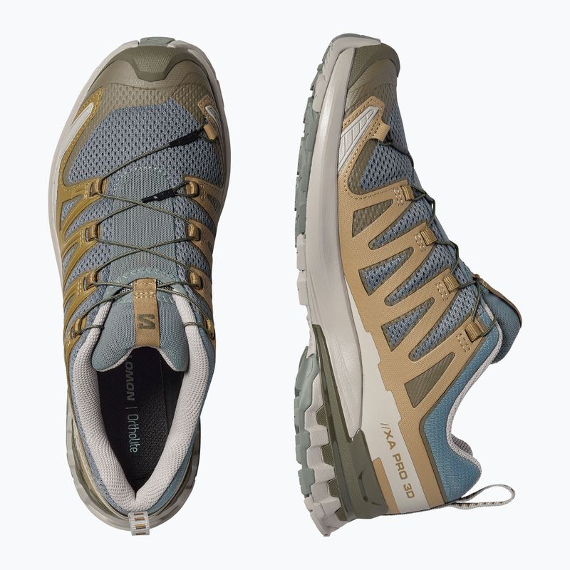 Men's running shoes Salomon XA Pro 3D V9 sedona sage/plantation/paloma 5