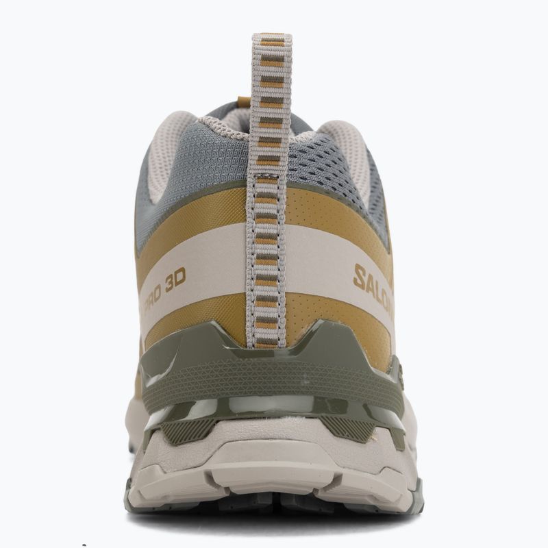 Men's running shoes Salomon XA Pro 3D V9 sedona sage/plantation/paloma 6