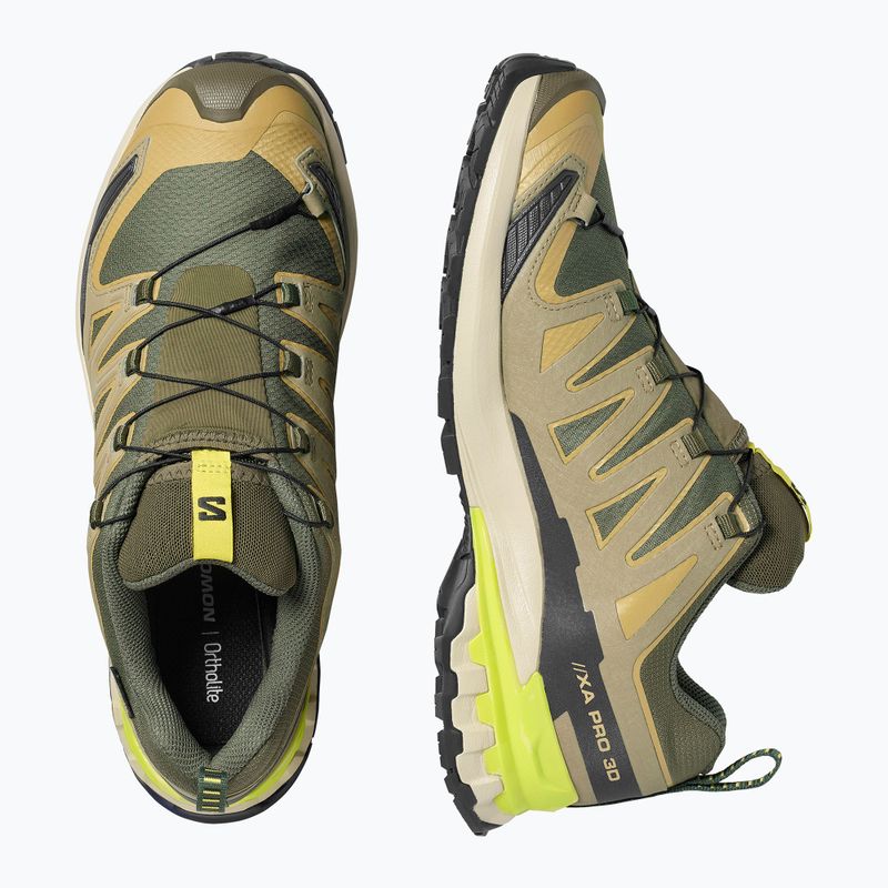 Men's running shoes Salomon XA Pro 3D V9 GTX grape leaf/aloe 3