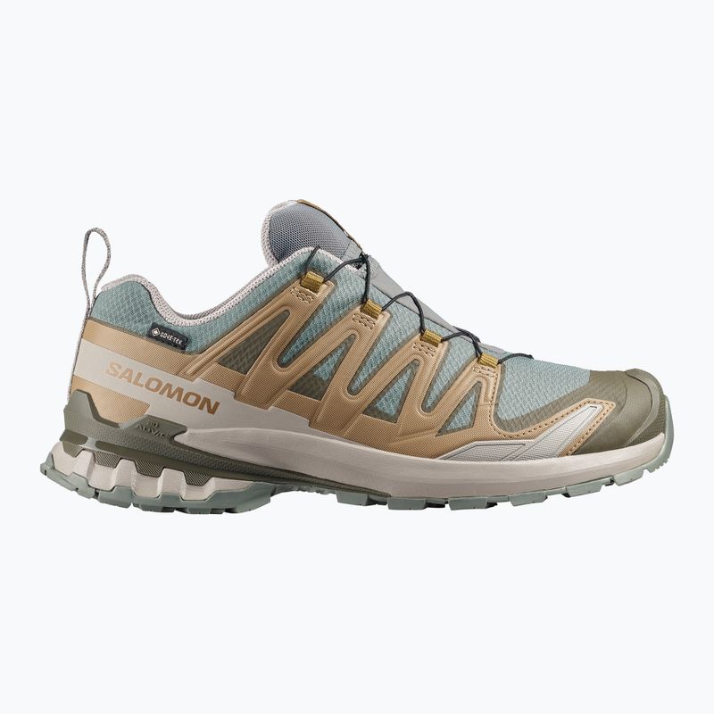 Men's running shoes Salomon XA Pro 3D V9 GTX sedona sage/brilliant olive