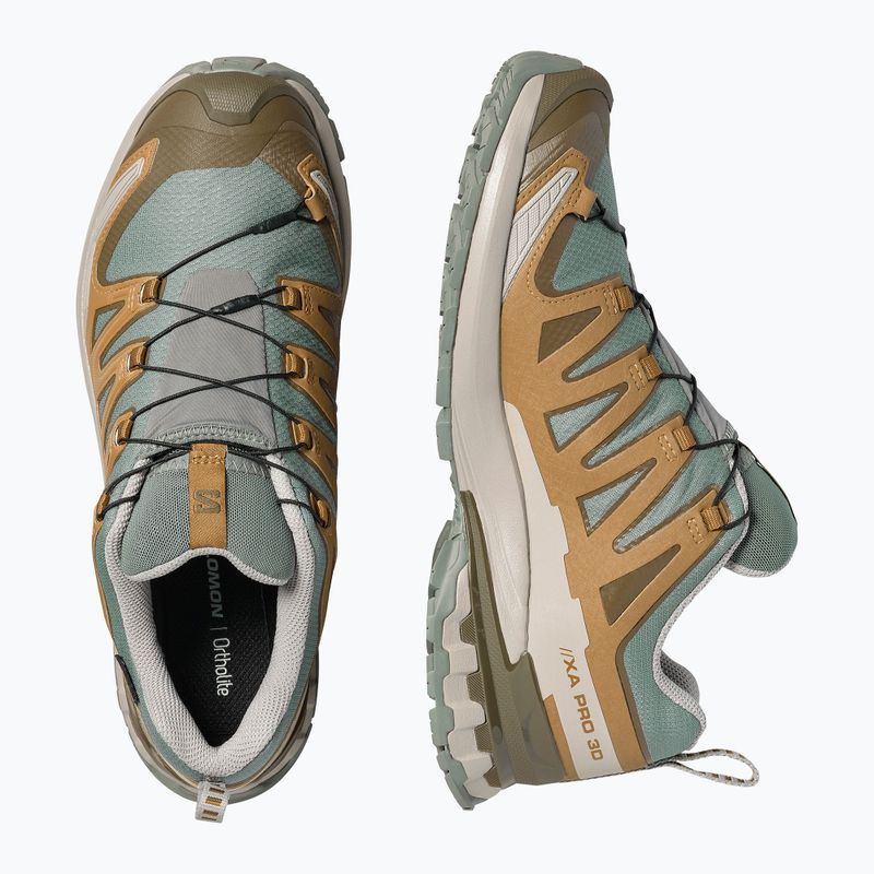 Men's running shoes Salomon XA Pro 3D V9 GTX sedona sage/brilliant olive 3