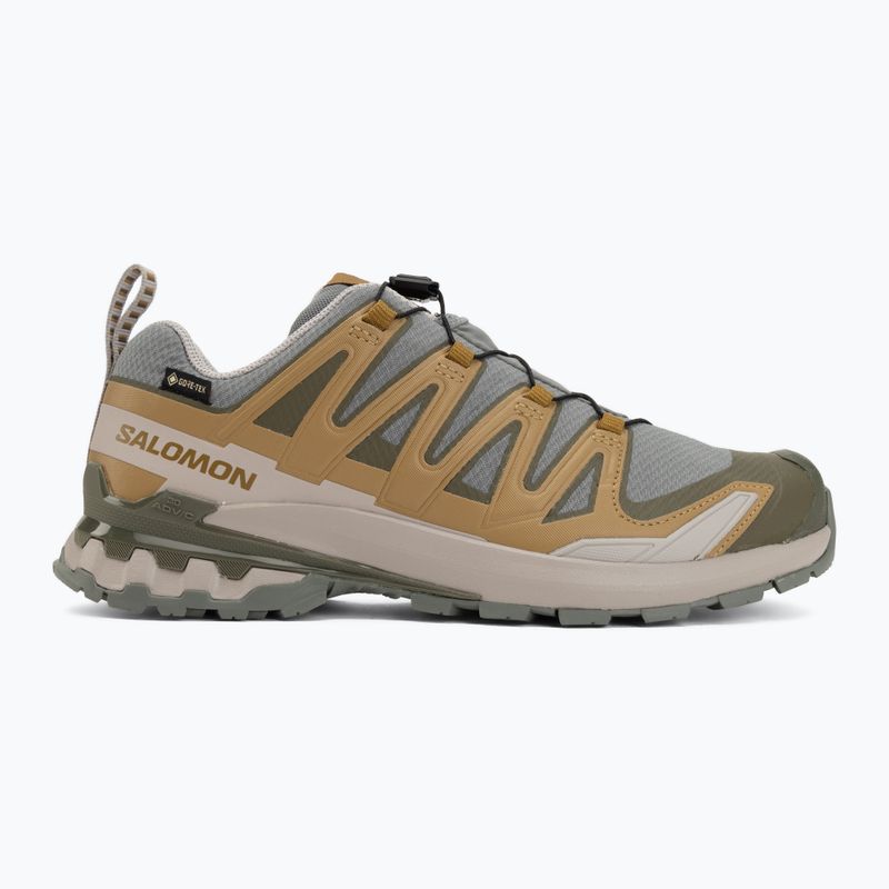 Men's running shoes Salomon XA Pro 3D V9 GTX sedona sage/brilliant olive 2
