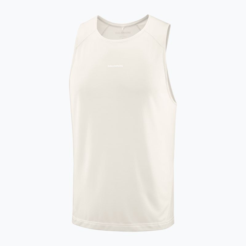 Men's T-shirt Salomon Shakeout Core whisper white 3