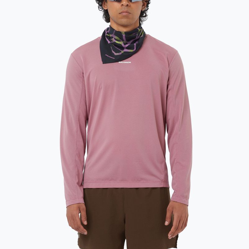 Men's running longsleeve Salomon Shakeout Core dusky orchid
