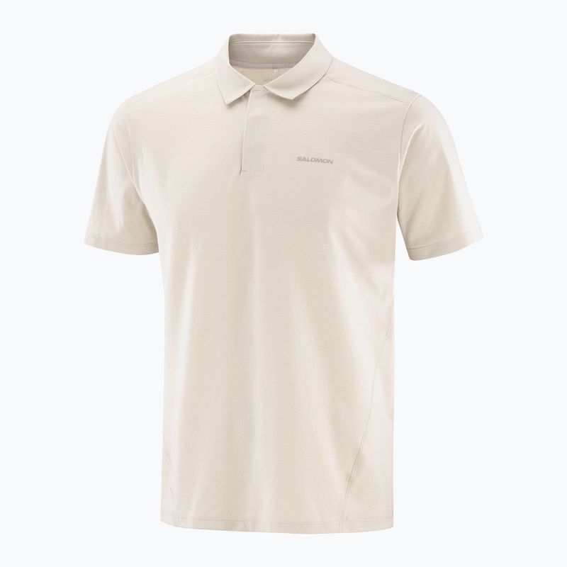 Men's polo shirt Salomon Trackline Polo silver cloud 6