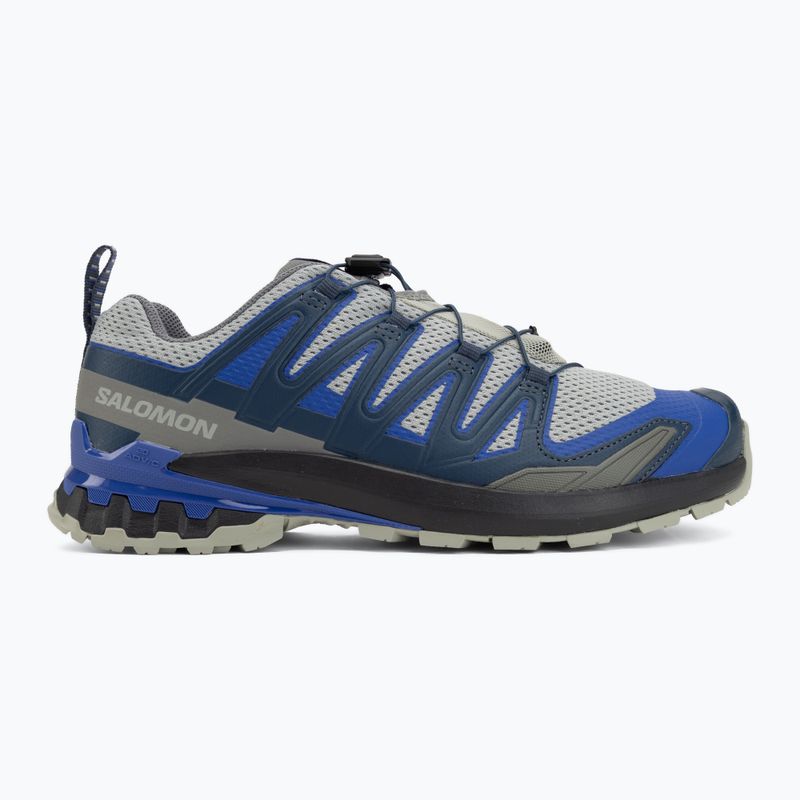 Men's running shoes Salomon XA Pro 3D V9 wrought iron/spellbound 2