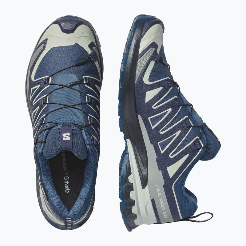 Men's running shoes Salomon XA Pro 3D V9 GTX spellbound/maritime blue 3