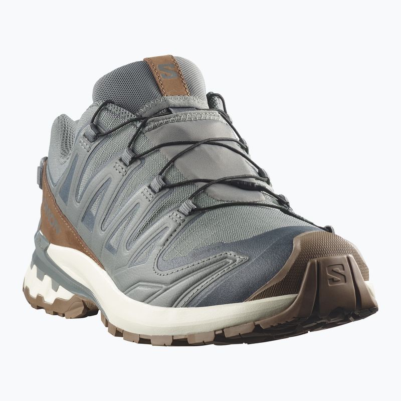 Men's running shoes Salomon XA Pro 3D V9 GTX Lifelong sedona sage/coyote brown 2