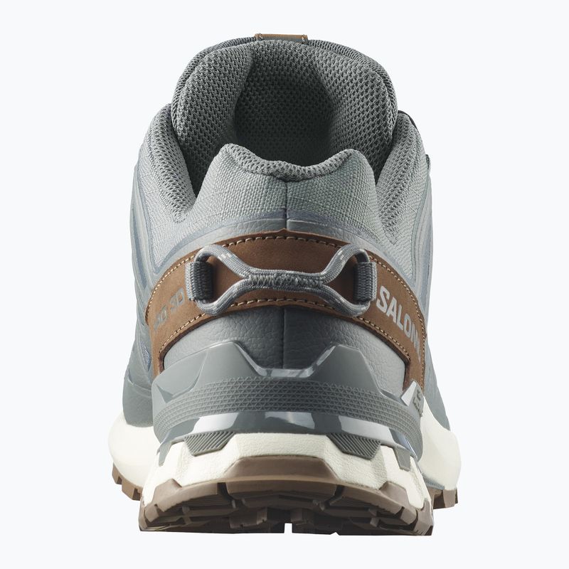 Men's running shoes Salomon XA Pro 3D V9 GTX Lifelong sedona sage/coyote brown 5