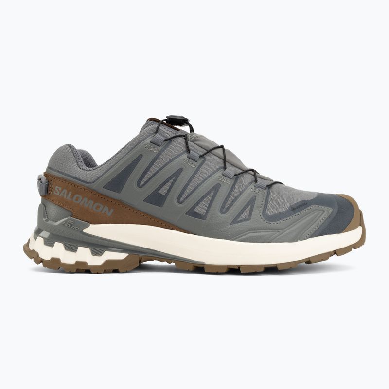 Men's running shoes Salomon XA Pro 3D V9 GTX Lifelong sedona sage/coyote brown 2