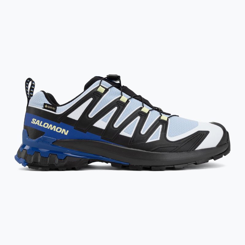 Men's running shoes Salomon XA Pro 3D V9 GTX Icon black/brunnera blue 2