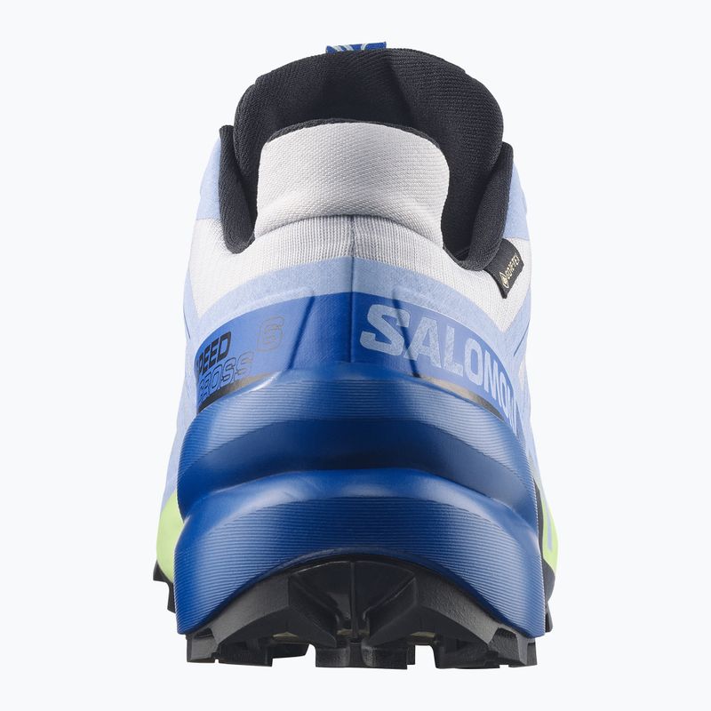 Men's running shoes Salomon Speedcross 6 GTX Icon brunnera blue/surf the web 3