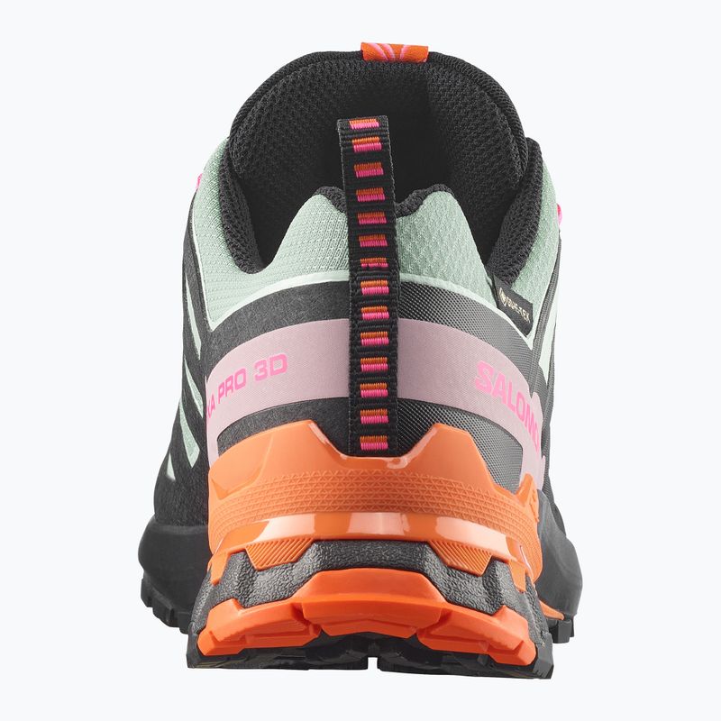 Women's running shoes Salomon XA Pro 3D V9 GTX Icon black/green milieu 5