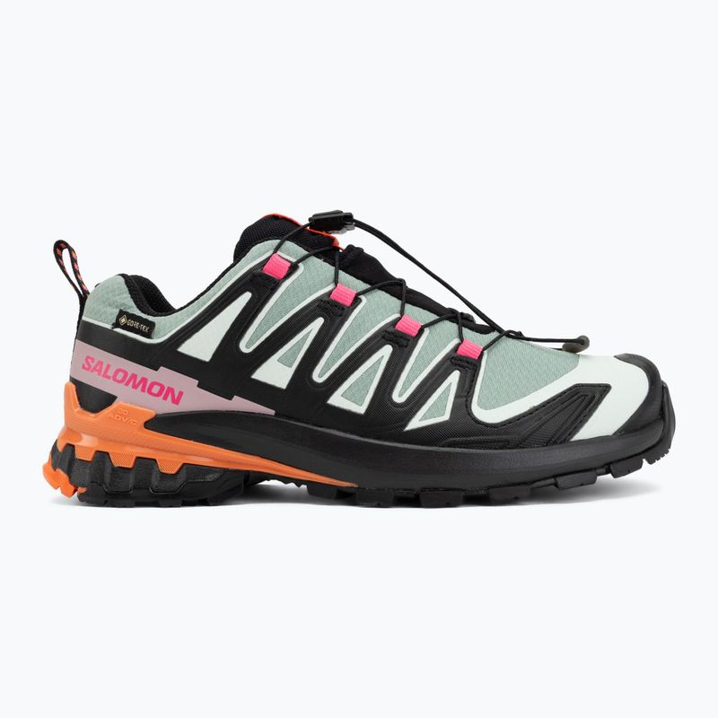 Women's running shoes Salomon XA Pro 3D V9 GTX Icon black/green milieu 2