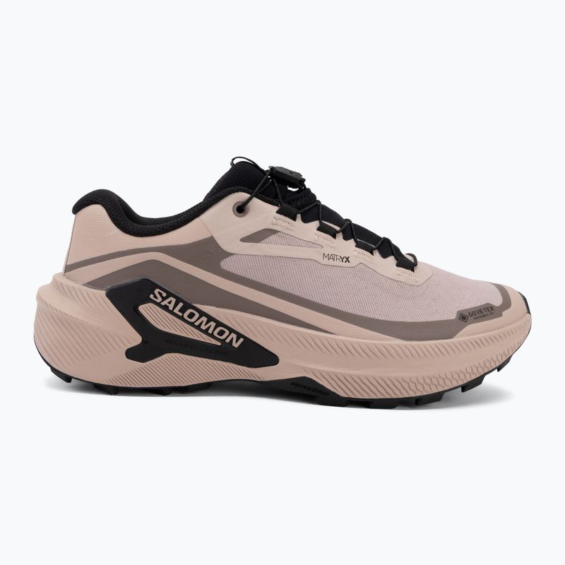Women's running shoes Salomon Genesis 2 GTX shadow gray/iron 2
