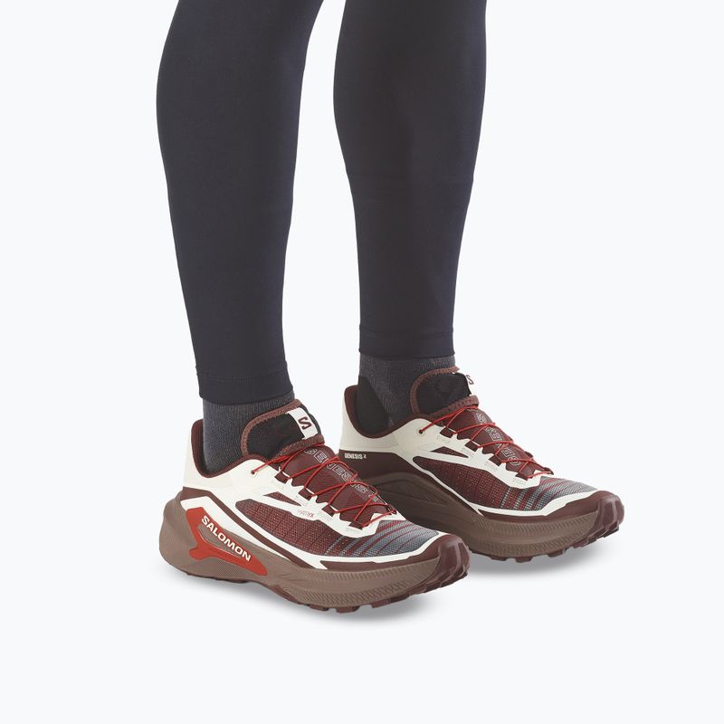 Men's running shoes Salomon Genesis 2 vanilla ice/iron 5