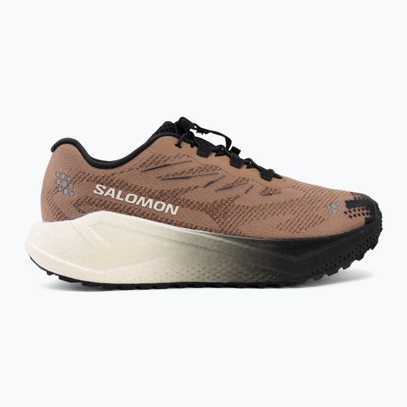 Men's running shoes Salomon Aero Blaze 4 GRVL burro/vanilla ice 2