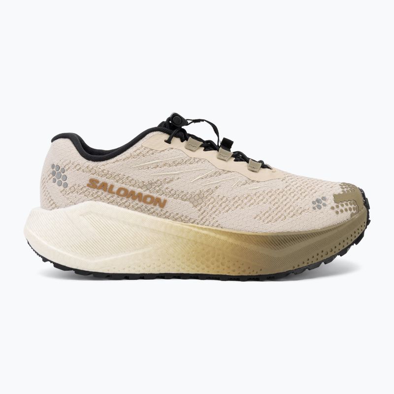 Women's running shoes Salomon Aero Blaze 4 GRVL tapioca/vanilla ice 2