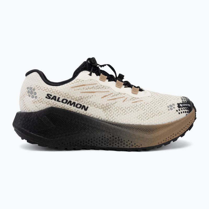 Women's running shoes Salomon Aero Blaze 4 GRVL GTX vanilla ice/black 2
