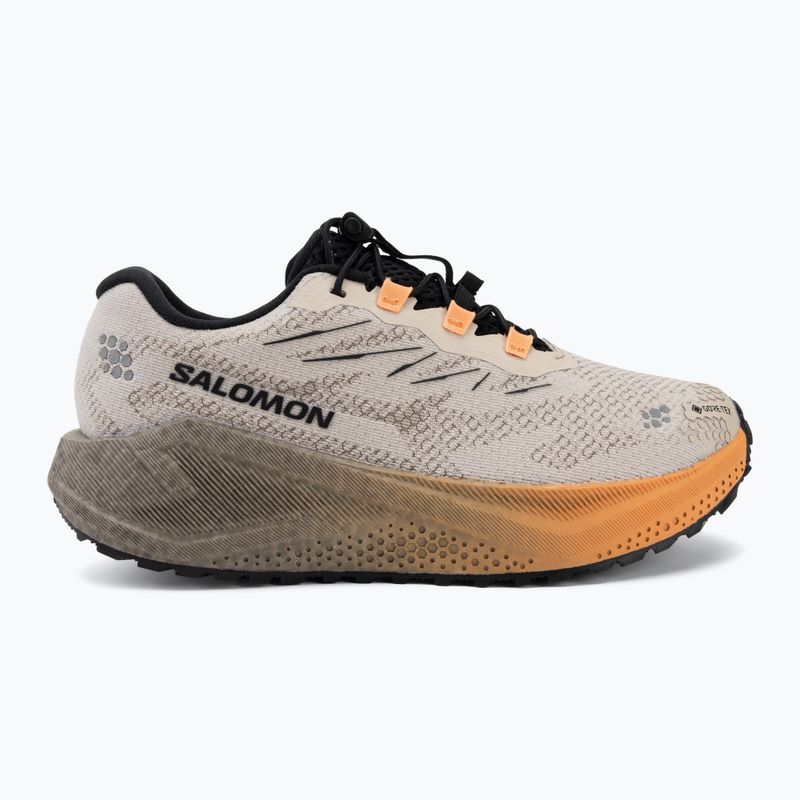 Women's running shoes Salomon Aero Blaze 4 GRVL GTX rainy day/black 2