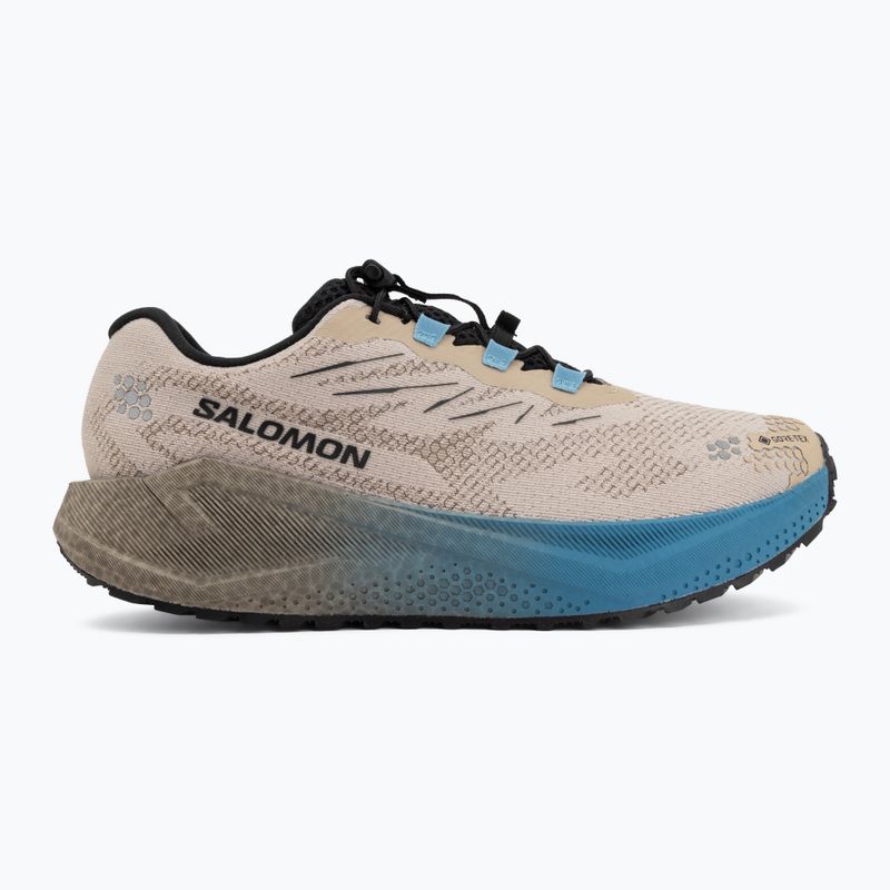 Men's running shoes Salomon Aero Blaze 4 GRVL GTX oxford tan/black 2