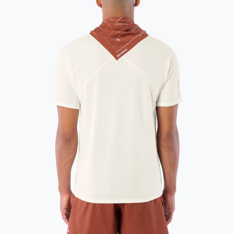 Men's running shirt Salomon Sense Aero GFX Tee SS whisper white/raind day/bright white 2