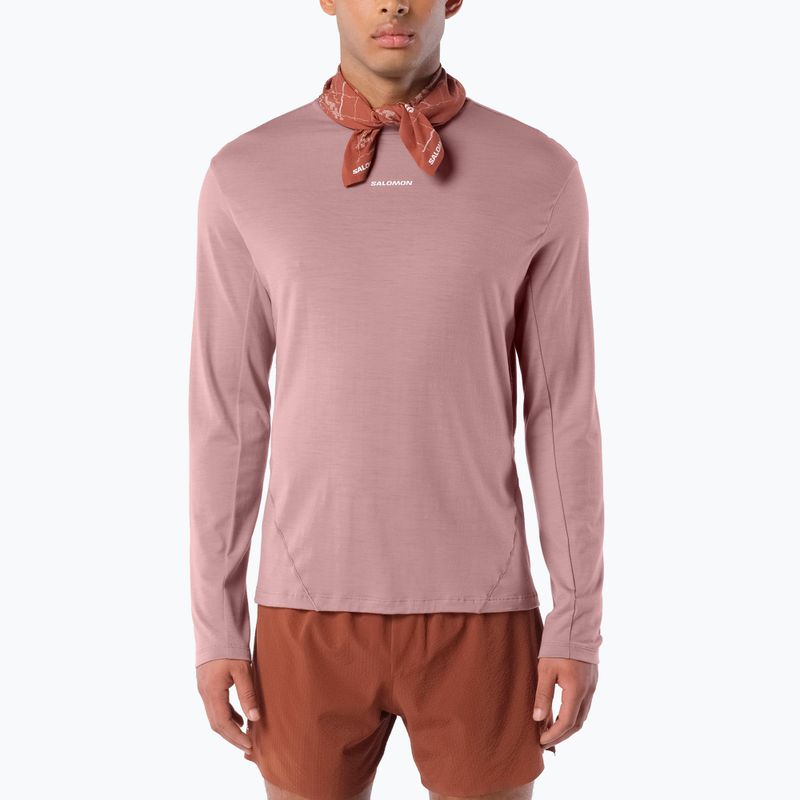 Men's running longsleeve Salomon Sense Merino Tee LS antler