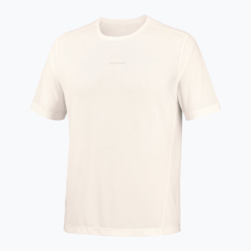 Men's running shirt Salomon Shakeout Core GFX SS Tee whisper white/pink frosting 5