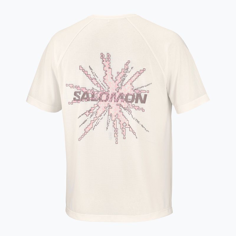 Men's running shirt Salomon Shakeout Core GFX SS Tee whisper white/pink frosting 6