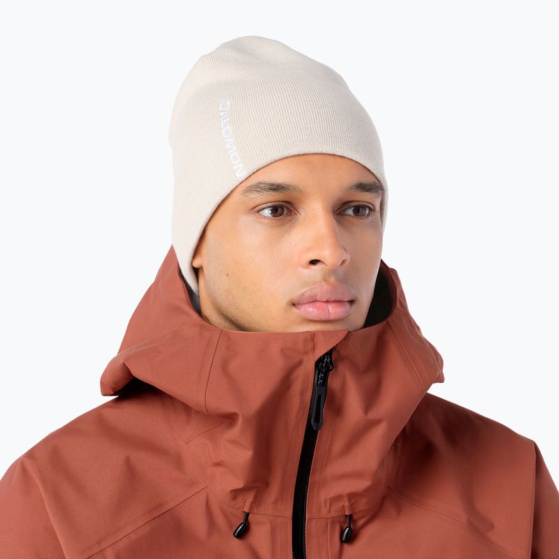 Winter hat Salomon Graphic silver cloud 2