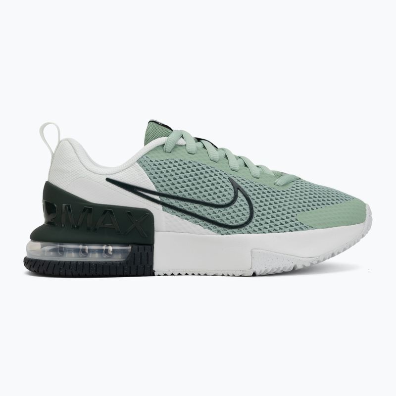 Men's training shoes Nike Air Max Alpha Trainer 6 steam/spruce aura/off white/black spruce 2