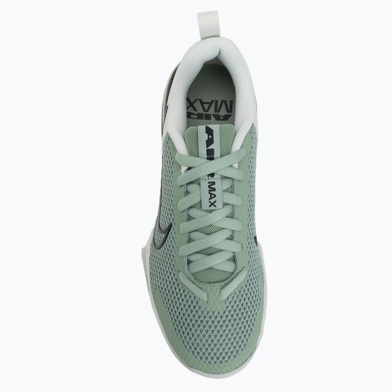 Men's training shoes Nike Air Max Alpha Trainer 6 steam/spruce aura/off white/black spruce 5