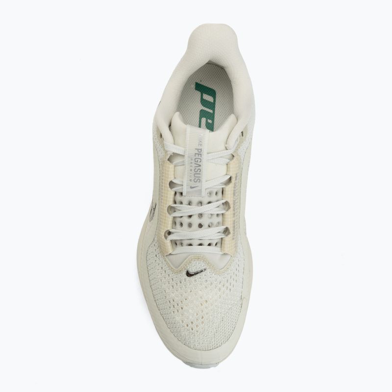 Women's running shoes Nike Pegasus Premium sea glass/malachite/metallic silver 5
