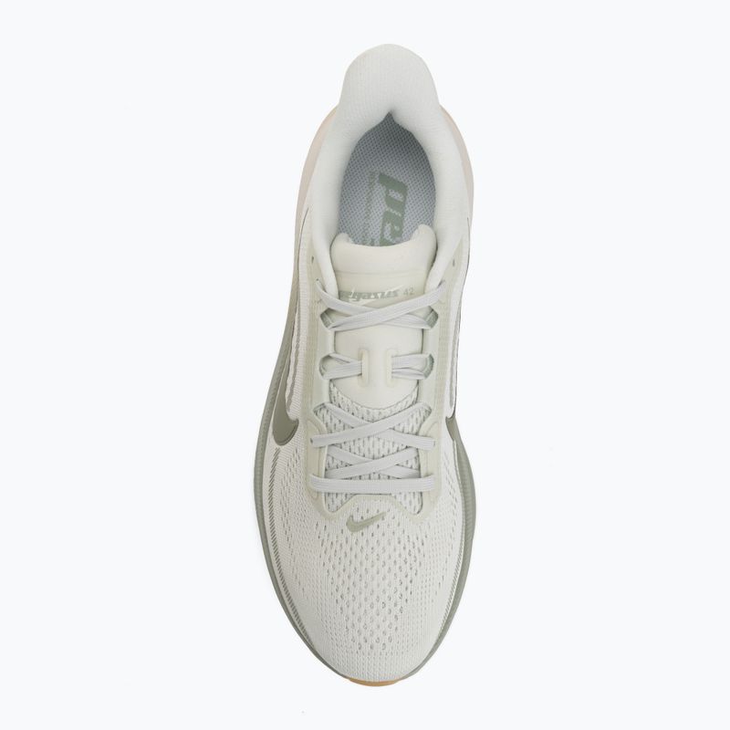 Men's running shoes Nike Pegasus 42 spruce aura/pale ivory/jade horizon 5