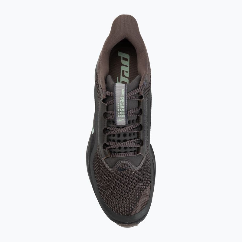 Men's running shoes Nike Pegasus Premium ironstone/dark smoke grey/quartz patina 5