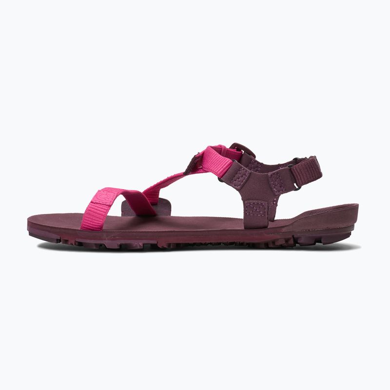 Women's barefoot sandals Xero Shoes Z-Trail EV fuchsia purple 2