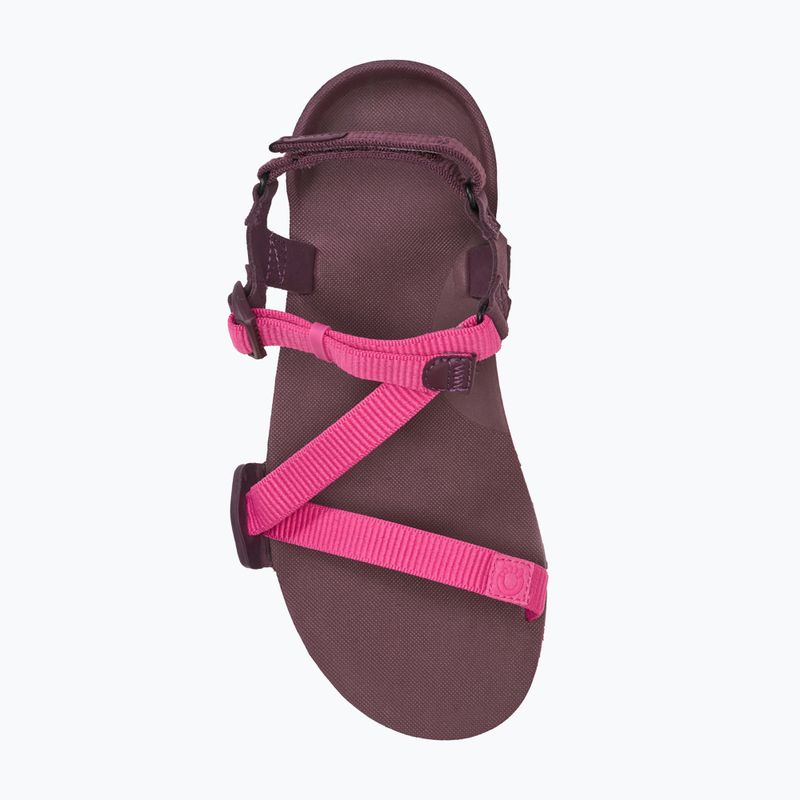 Women's barefoot sandals Xero Shoes Z-Trail EV fuchsia purple 5