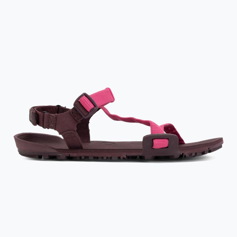 Women's barefoot sandals Xero Shoes Z-Trail EV fuchsia purple 2
