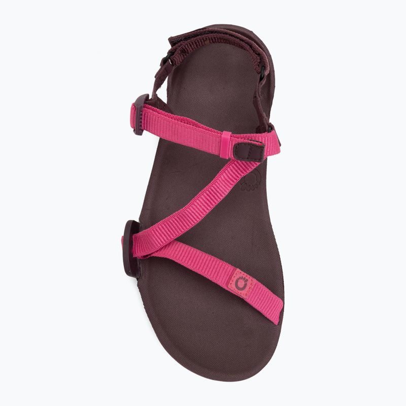 Women's barefoot sandals Xero Shoes Z-Trail EV fuchsia purple 5
