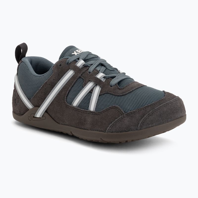 Men's barefoot shoes Xero Shoes Prio insignia stormy weather