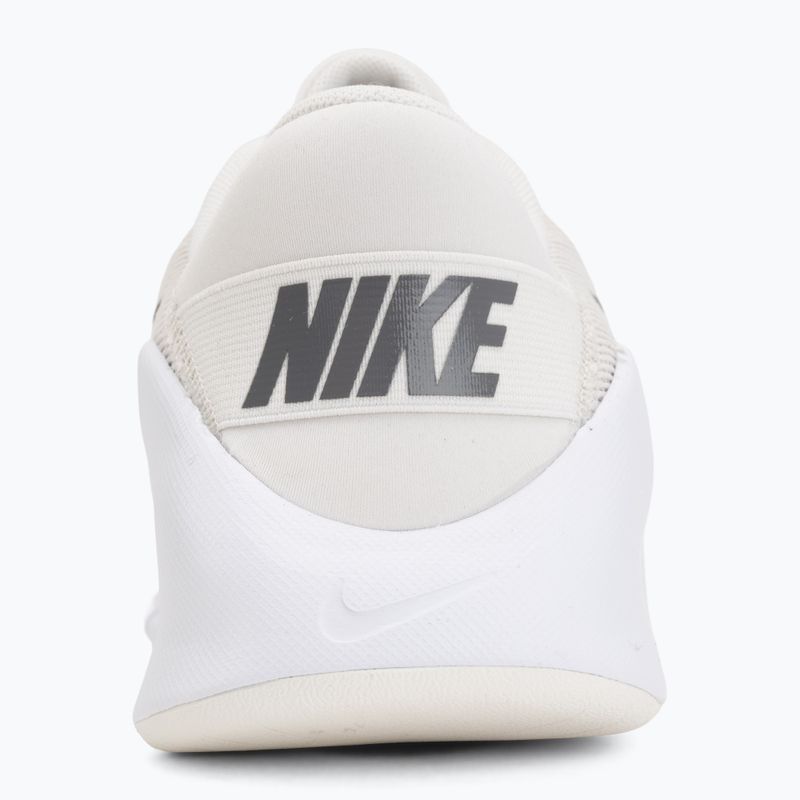Men's training shoes Nike Flex Train phantom/white/sail/pencil point 6