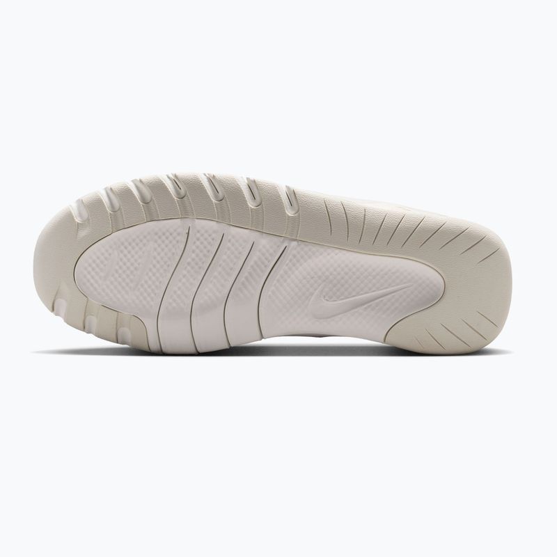 Women's training shoes Nike Flex Train white/sail/phantom/ metallic silver 6